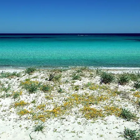 Σπίτι διακοπών Casa Piras San Teodoro (Sardinia)